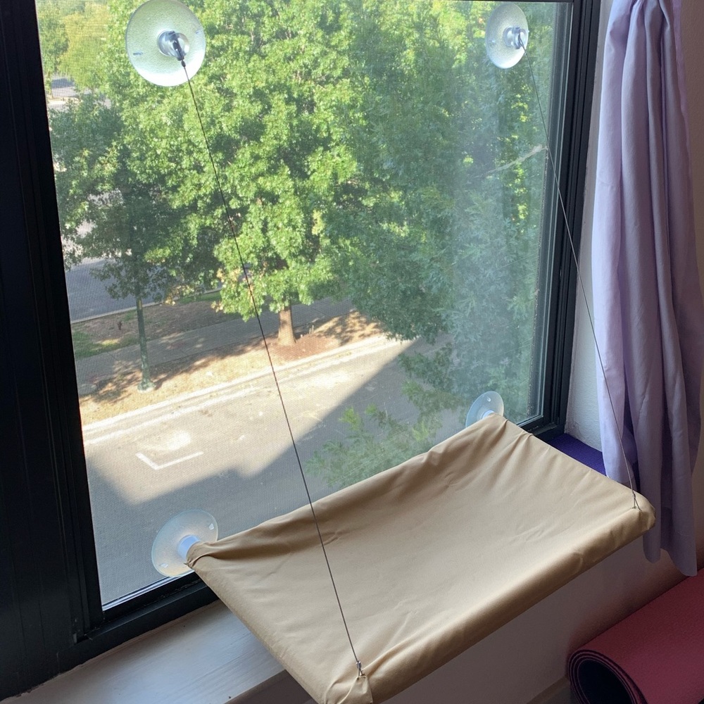 😽🗾 Kitty Cat Window Hammock with Suction Cups